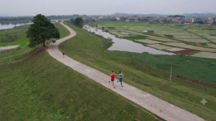 HIU HIU GIÓ THỔI ĐẦU ĐÔNG