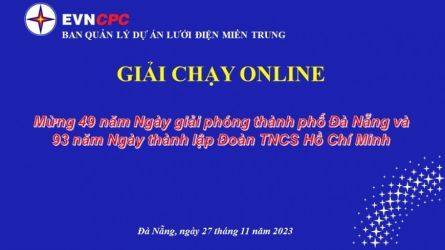Giải chạy online Mừng 49 năm Ngày giải phóng thành phố Đà Nẵng và 93 năm Ngày thành lập Đoàn TNCS Hồ Chí Minh