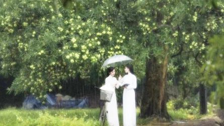Chạy cùng mùa hoa sữa nồng nàn tháng 9