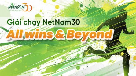 GIẢI CHẠY NETNAM30