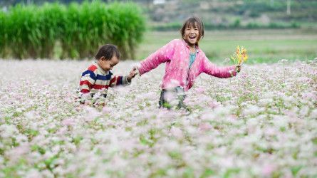 Chạy cùng mùa tam giác mạch tháng 10