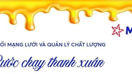 Bước chạy thanh xuân - Khối Mạng lưới và Quản lý chất lượng