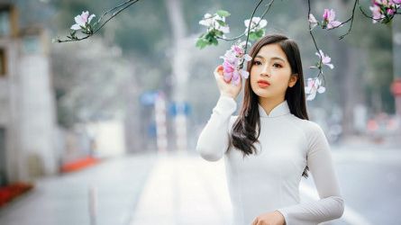 Tháng Hai - Hoa Ban ngập tràn