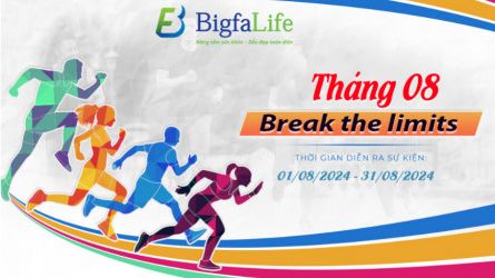 BIGFA BREAK THE LIMITS 08