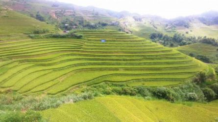 Chạy cùng mùa vàng Tây Bắc tháng 9