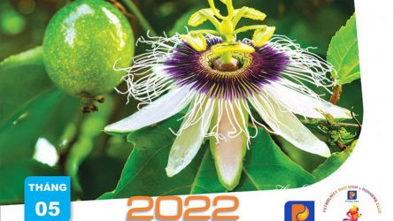 Chào hè cùng Petrolimex NamDinh Tháng 5- 2022
