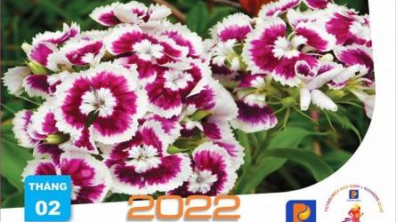 Chào Nhâm Dần cùng Petrolimex NamDinh Tháng 2-2022