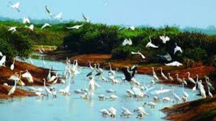 Thiên Trường Long run weekend- CHÚC MỪNG NGÀY THẦY THUỐC VN - Lần thứ 8