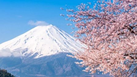 Japan Running 4-2025