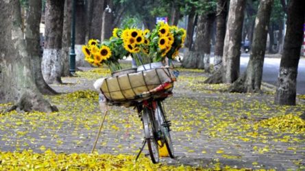 Sải Bước Tháng 8 – Bứt Tốc Đón Thu