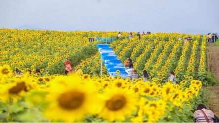 PHỦ QUỶ RUNNERS - LONG RUN KHỞI ĐỘNG UPRACE 2021