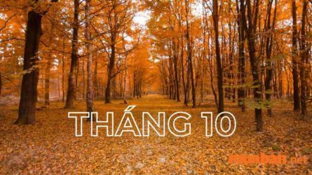 DCR - Thử thách tháng 10