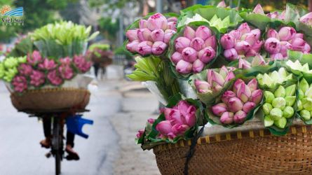 DCR Tháng 6 - Mùa sen quyến rũ khoe sắc