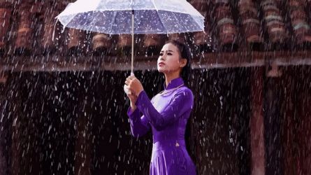 Mưa thơm phố Huế