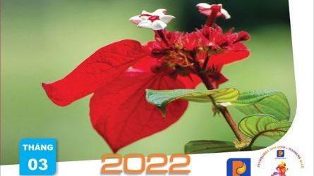 Tăng tốc cùng Petrolimex NamDinh Tháng 3- 2022