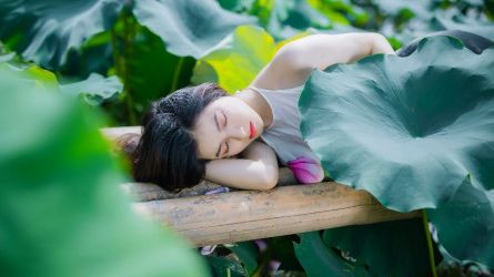 Chạy cùng mùa sen tháng 6