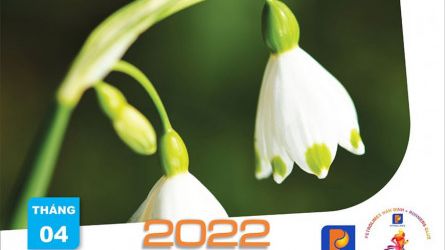 Những dấu mốc lịch sử không quên cùng Petrolimex NamDinh Tháng 4- 2022