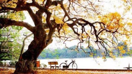 Chạy cùng tháng 8 mùa thu