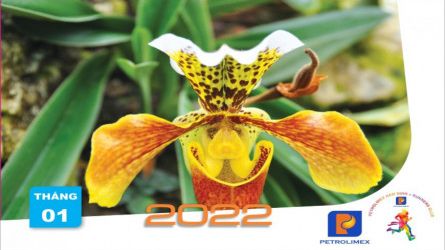 Khởi động cùng Petrolimex NamDinh Tháng 1-2022