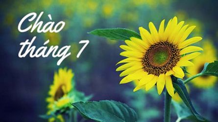 Chào tháng 7 - SRC