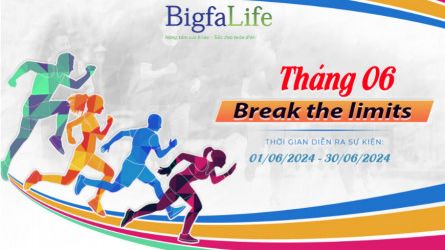 BIGFA BREAK THE LIMITS 06