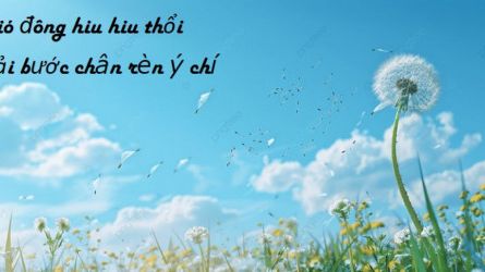 CHẠY VÀ TẬN HƯỞNG GIÓ MÙA