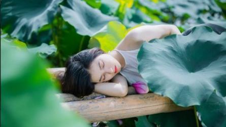 Chạy cùng mùa sen tháng 7
